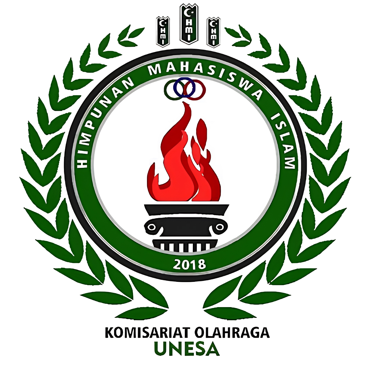 HMI Logo